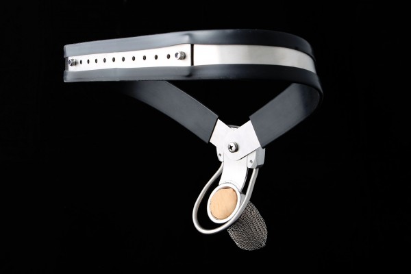 CS-700 das Außergewöhnliche Kaufen