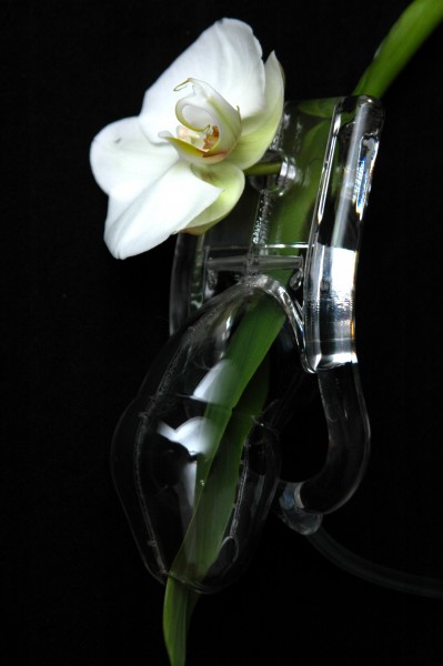 Zubehör separater Käfig Lovejail